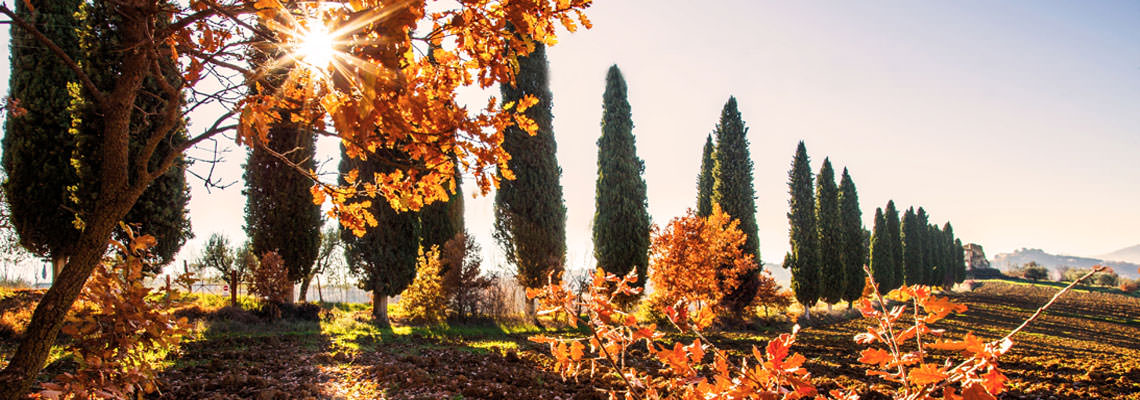 panorama autunno Umbria
